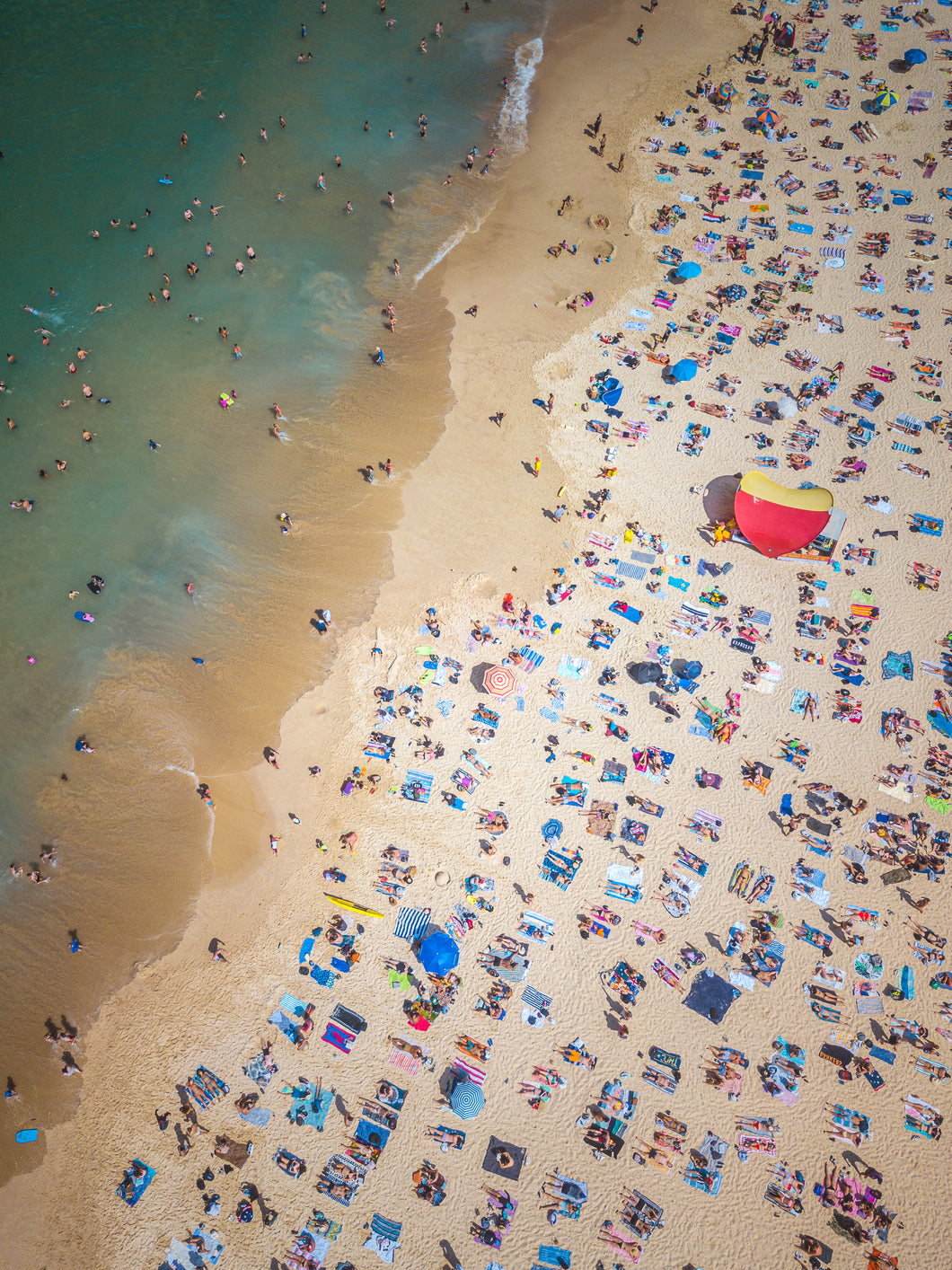 Busy Tamarama